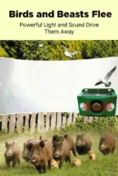 High volume solar warning lights to deter predators ( BUY 1 GET 1 FREE )